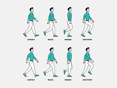 Walk Cycle 🚶🏻‍♂️ animation cartoon character line phases video walk walk cycle walking