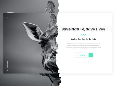 Save Nature Homepage Concept case study clean design inspiration interface minimal oswald poppins typography ui webdesign website