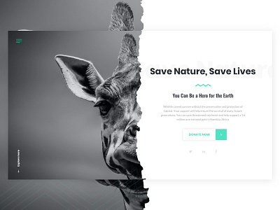 Save Nature Homepage Concept