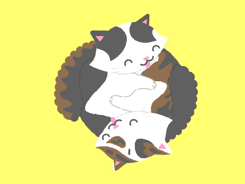 Kitten Cuddles cat cuddle cute gif groom kitten lick yang yin