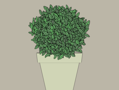 Generative Greenery design digital art generative art plant