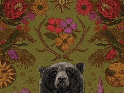 Fierce Bear – Full Color Illustration