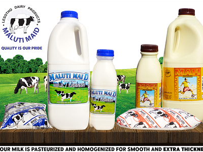 Milk company flyer