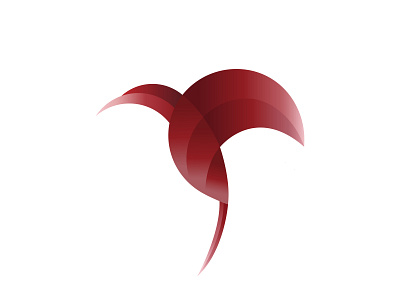 Hummingbird Logo branding design graphic design illustration logo vector