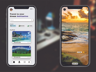 Travel App Design graphic design ui