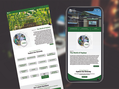 Redesign "HAYLEYS" App & Site