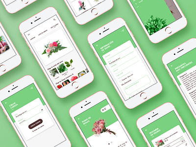 App flowers delivery concept app design design sketchapp ui uidesign uxdesign