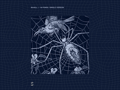 Skaell - In Fondo album art birds blu collage cover digital illustration music spider