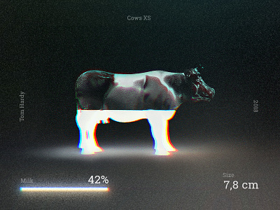 Cows XS