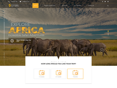 Africa Tour graphic design logo ui