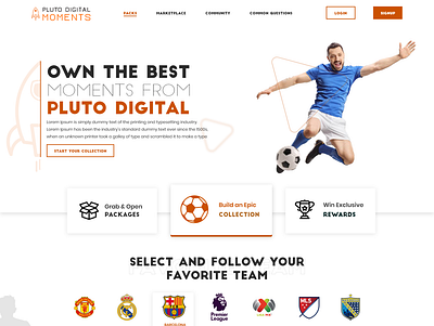 Pluto Digital branding graphic design motion graphics ui