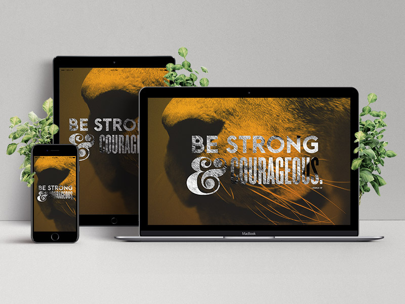 Web Showcase Project Presentation bible verse lion wallpaper