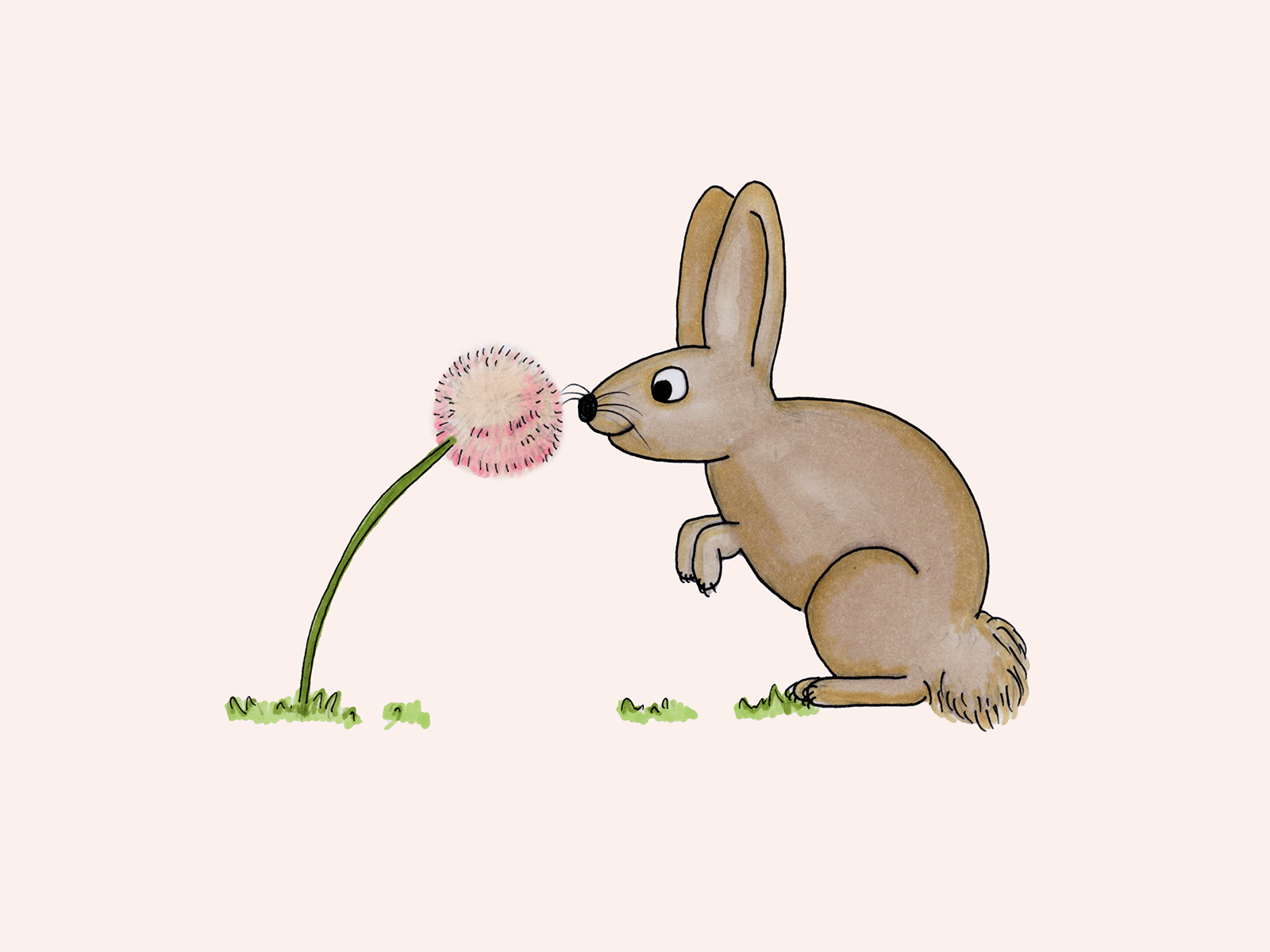 Bunny Sneeze by Jessica Dalli on Dribbble