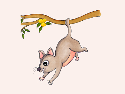 Hanging Possum alcohol markers animals australia colouring design graphic design hand drawn illustration possum sketch