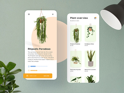 Plant Store Concept | Product page & overview