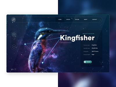 Bird Sanctuary Hero section concept bird hero section kingfisher ui website