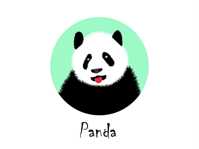 panda - illustration