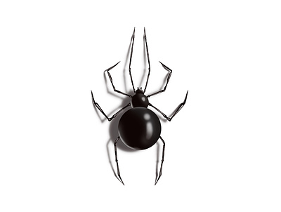 Spider pencil art apple pencil art design illustration ipad logo spider vector