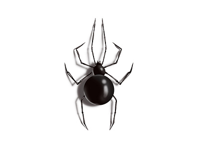 Spider pencil art