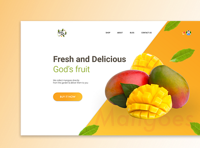 God's Fruit branding cv design figma graphic design layout logo typography ui ux vector