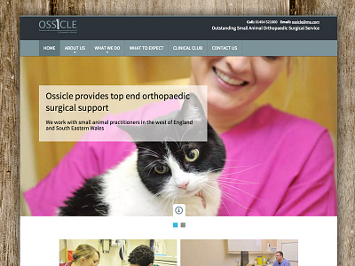 Ossicle Home surgeon vet website wordpress