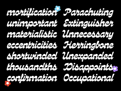 Lavandula Script bold connected cursive design font free freebie high contrast horizontal stress lettering reverse contrast script type type design typography