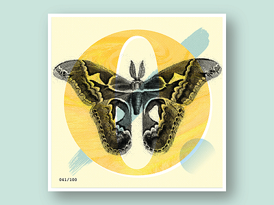 041/100: Itzpapalotl | Obsidian Butterfly 100 day project 100 days of dropcaps 100dayproject art collage daily drop cap daily project dropcap lettering type design