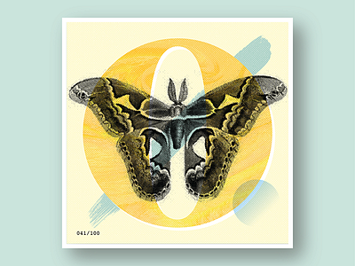 041/100: Itzpapalotl | Obsidian Butterfly