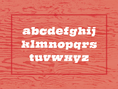 Guster - Lowercase font hippie retro serif type type du nord type specimen typography vintage western
