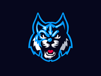 wildcat branding design esport graphic design logo vector