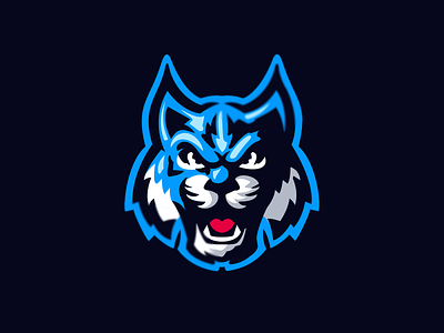 wildcat