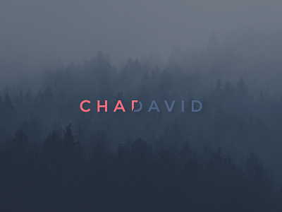 Chadavid Branding brand mark branding design logo typography