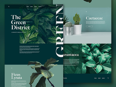 The Green District Website Design brand branding concept design design designer graphic design graphic designer identity plant design plants web design website website concept website design