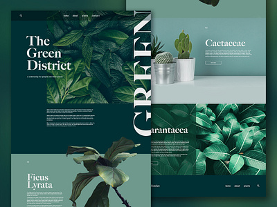 The Green District Website Design