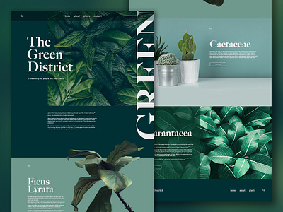 The Green District Website Design brand branding concept design design designer graphic design graphic designer identity plant design plants web design website website concept website design