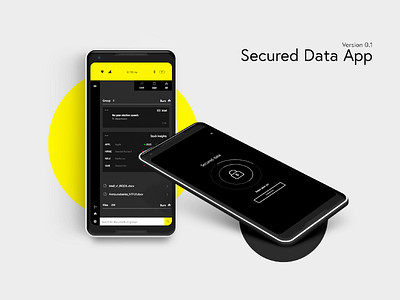 Secured Data App Concept