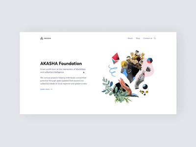 Significa Projects Akasha Website Dribbble