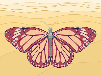 Traveling Monarch butterfly illustration landscape landscape illustration monarch portland procreate procreate art