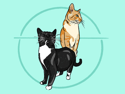 Cat De-tail cat illustration illustrator portland procreate