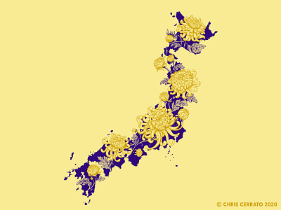 Japan in Bloom art artwork chrysanthemum design drawing flowers illustration ink japan japanese japanese art japanese culture japanese style map micron pen pen pen and ink statesinbloom stippling