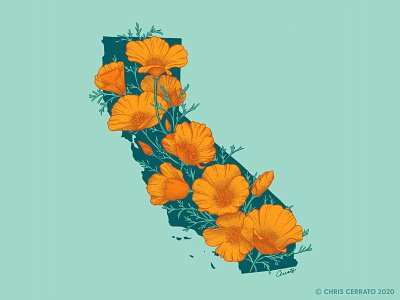 California in Bloom art artwork california design drawing flowers freelance golden poppy illustration illustrator map map art poppies poppy