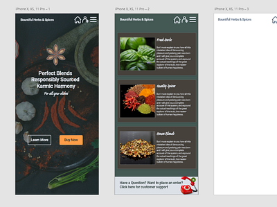 Herb and Spice shop HI-Fi pages app branding design ui ux vector