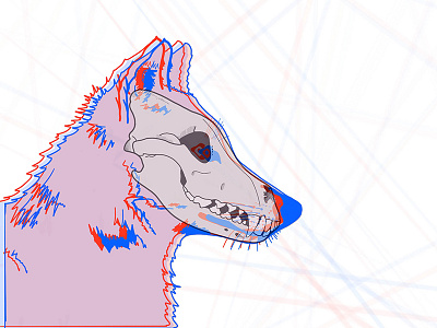 Wolf illustration ipad pro procreate wolf