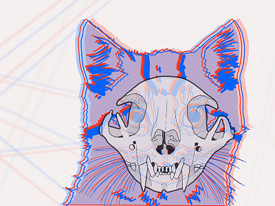 Cat X Ray 3d digital design feline illustration ipad pro procreate