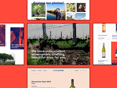 Littlewine Snippets creative ecommerce landing shopify web design wine