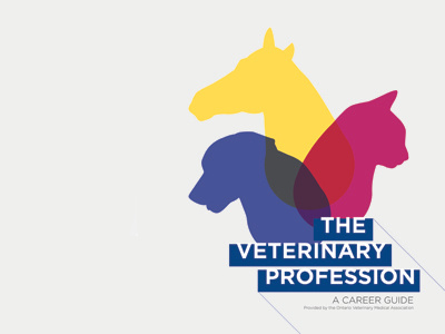concept for veterinary brochure