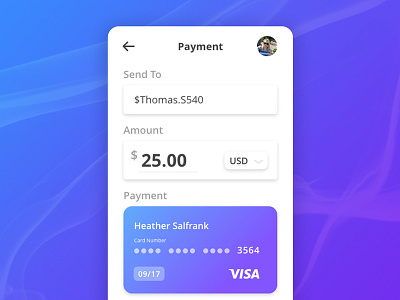 Credit Card Check Out checkout credit card dailyui dailyuidesign illustration mobile payment app uidesign