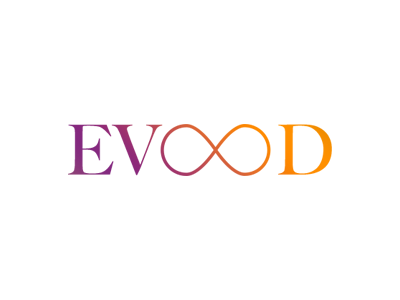 EVOLD logo infinity logo typography
