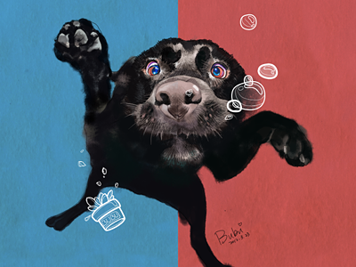 Dog，Illustration illustration，dog