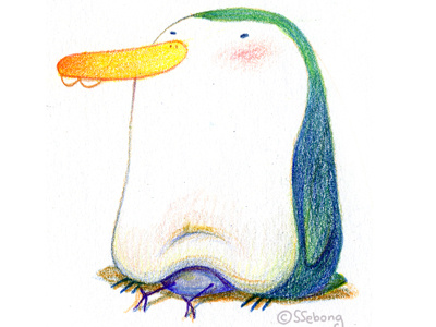 Penguin family character color pencils illustration penguin ssebong